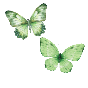 Copia de web elementos png (59) Copia de web elementos png (59)